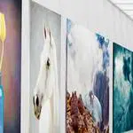 arte y museo