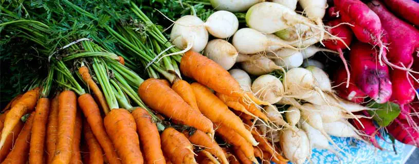 Mercado-de-agricultores-de-Brookhaven