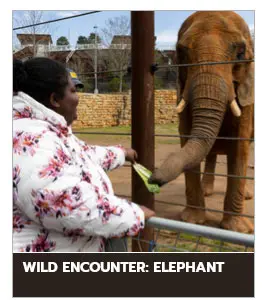 zoologico de atlanta