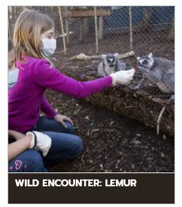 zoologico de atlanta