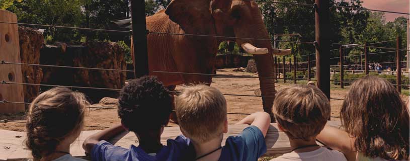 eventos en el zoo alanta