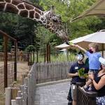 eventos en el zoo atlanta
