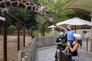 eventos en el zoo atlanta